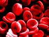 Blood_cells